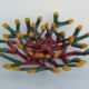 Coral Bowls