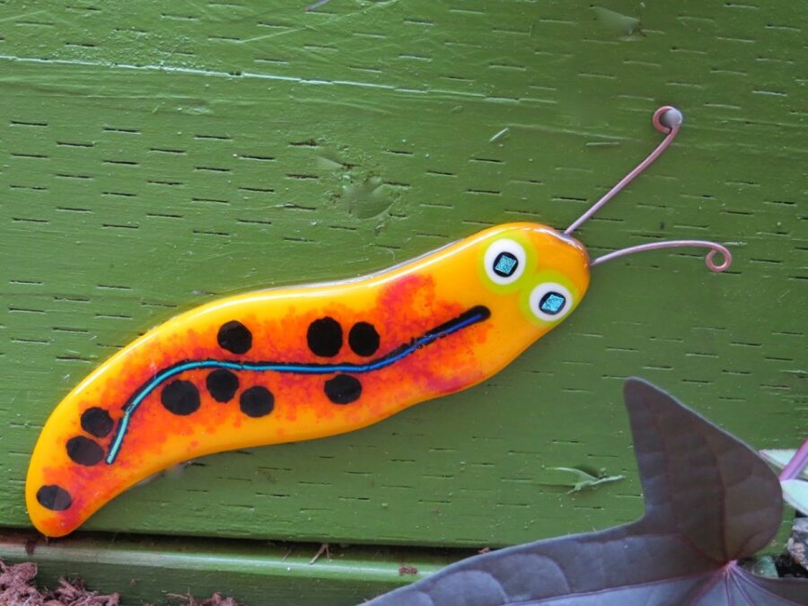 slug