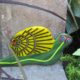 Garden Snail
