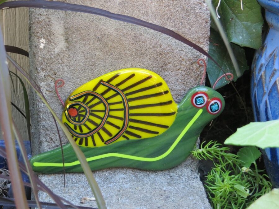 garden snail